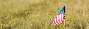 Amerika Birleşik Devletleri bayrağı çim tarlasında sallanıyor. Panorama