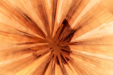 Soyut ahşap arka plan. Kesik ağaç gövdesinin ahşap dokusu