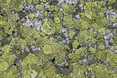 Grunge eski taş arka plan