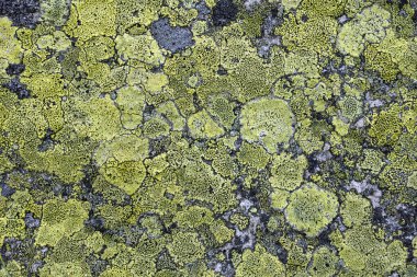 Grunge eski taş arka plan