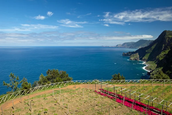 Vue sur l'océan Atlantique — Photo