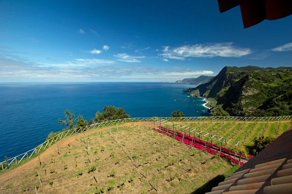 Vue sur l'océan Atlantique — Photo