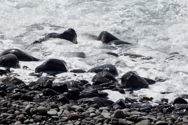 Stones on coast — Stock Photo, Image