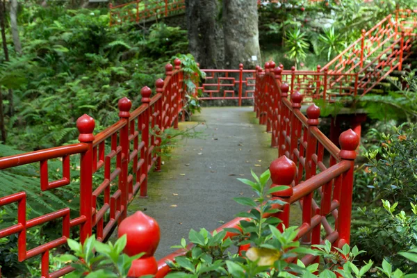 Brug in de Monte Palace tropische tuin — Stockfoto