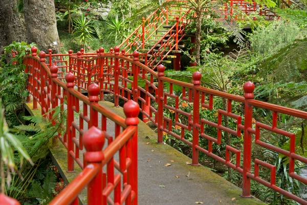 Bridge i Monte Palace tropiska trädgården — Stockfoto