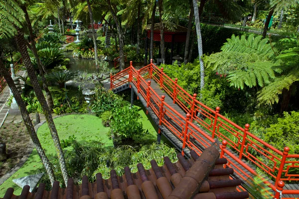 Bridge i Monte Palace tropiska trädgården — Stockfoto