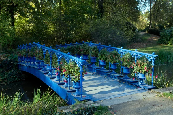 Ponte azul no parque — Fotografia de Stock