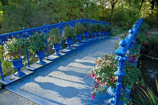 Blue bridge i parken — Stockfoto