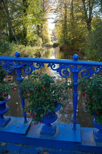Puente azul en el parque — Foto de Stock