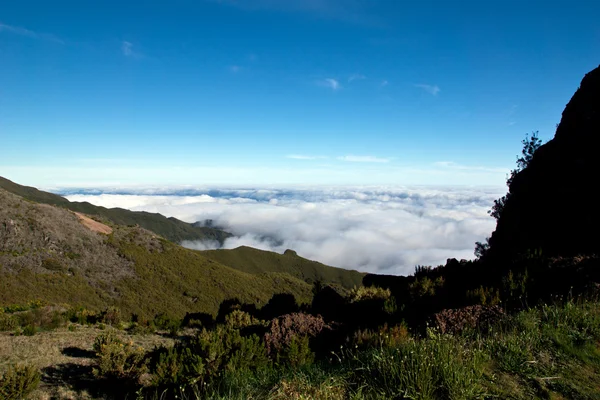 Sopra le nuvole sulle montagne — Foto Stock