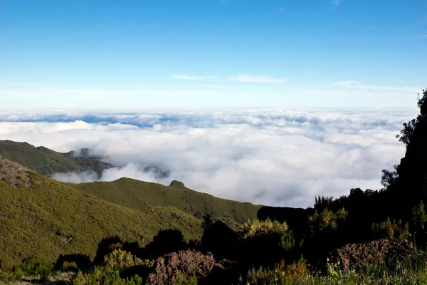 Acima das nuvens nas montanhas — Fotografia de Stock