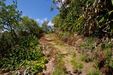 reunion ülkesindeki Hiking