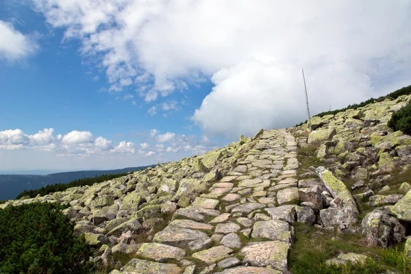 Hiking trails in the mountains — Stock Photo, Image