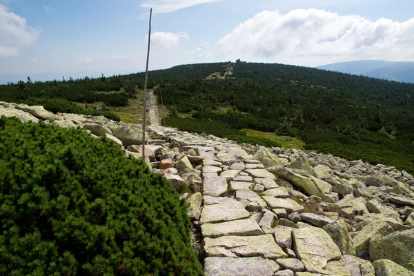 Rutas de senderismo en las montañas —  Fotos de Stock