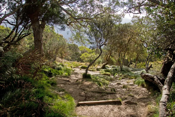 Hiking in Reunion — Stock Photo, Image