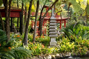 Monte Sarayı tropikal Bahçe