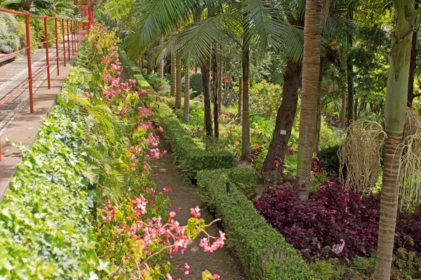 Monte palace tropiska trädgård — Stockfoto