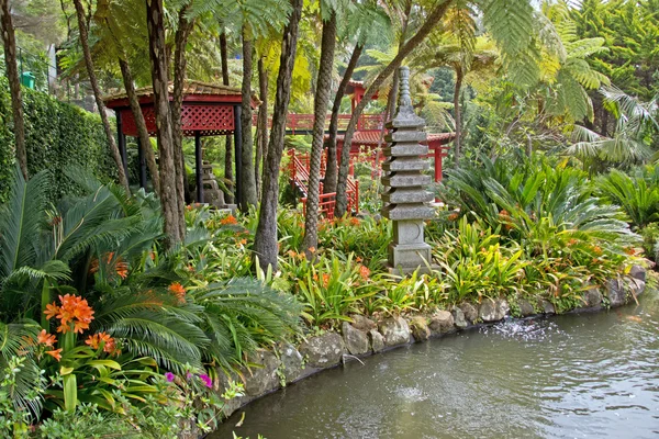 Monte Palace Jardín Tropical — Foto de Stock