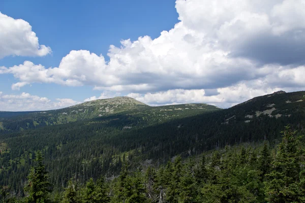 Krkonoše — Stock fotografie