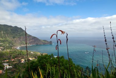 Görünüm Faial, Madeira üzerinde