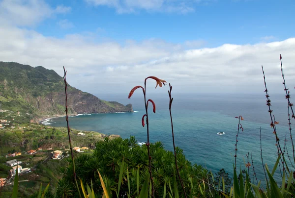 Vista sobre Faial, Madeira — Fotografia de Stock