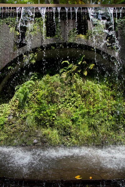 Wodospad w tropikalnym ogrodzie — Zdjęcie stockowe