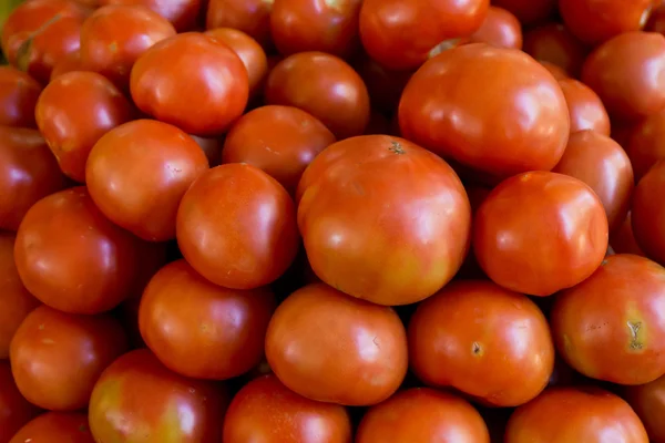 Fresh tomato — Stock Photo, Image