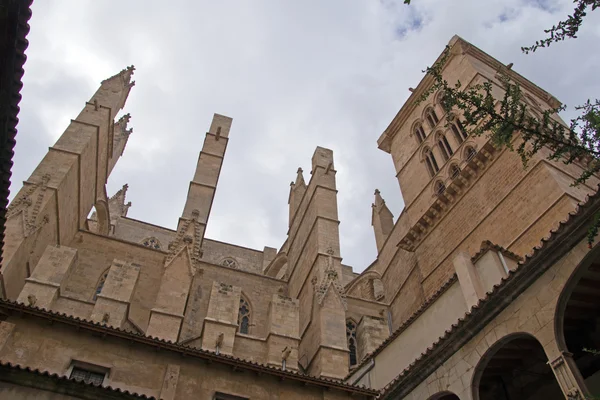 Katedralen la seu i palma de mallorca — Stockfoto