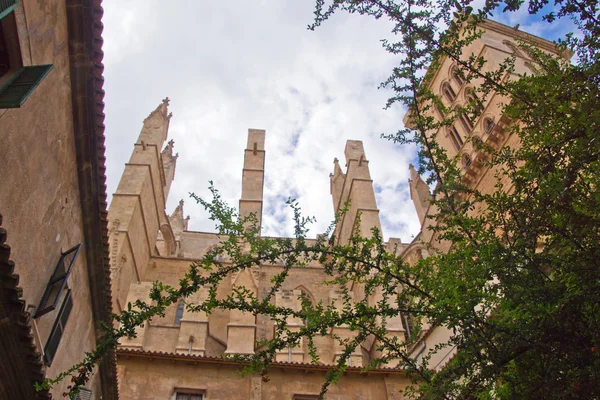 Catedral La Seu em Palma de Maiorca — Fotografia de Stock