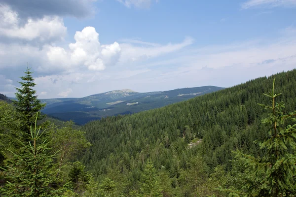 Montagne Krkonose — Foto Stock