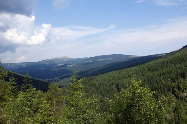 Krkonose Mountains — Stock Photo, Image