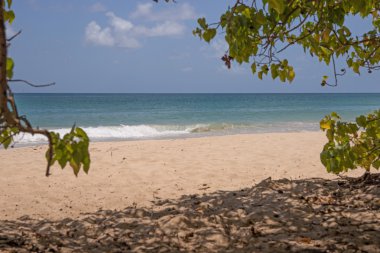 Martinique tropikal plaj