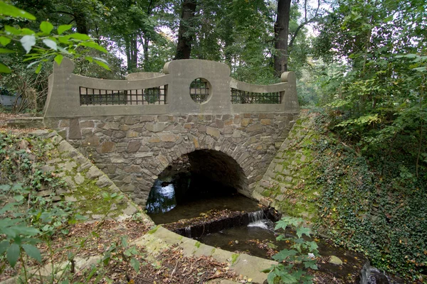 Most w parku — Zdjęcie stockowe