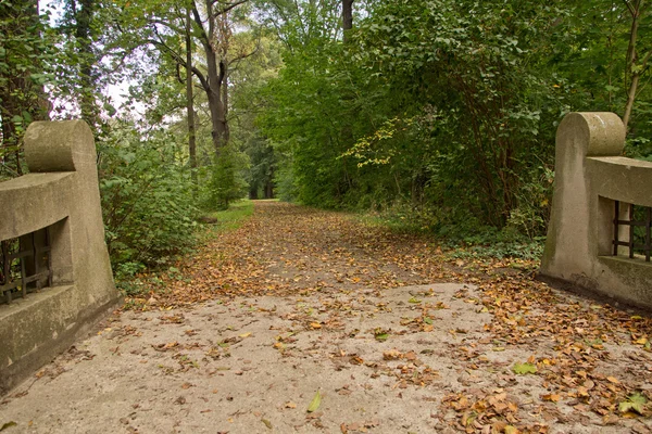 Bro i parken — Stockfoto