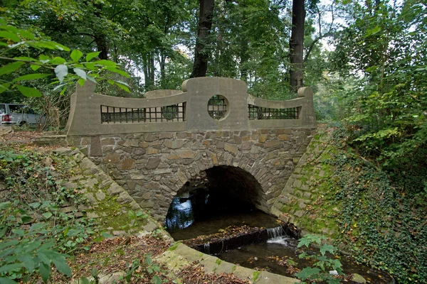 Bro i parken — Stockfoto