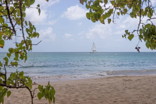 Pláž Martinik, Grande Anse des Salines — Stock fotografie