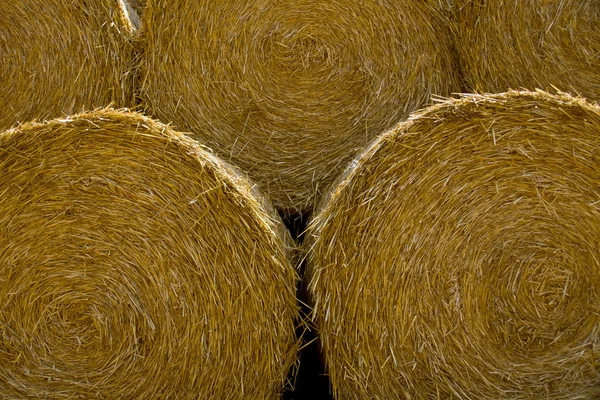 Straw Bale Background — Stock Photo, Image