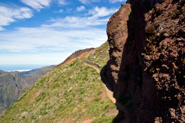 Berg i Madeira — Stockfoto