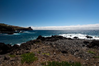 Madeira kayalık Güney sahil