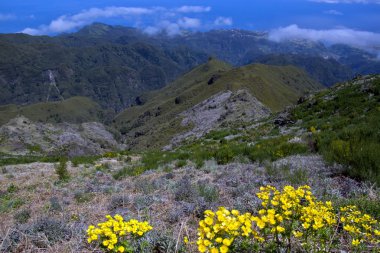 Pico Ruivo üzerinde yürüme