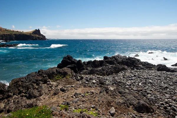Madeira kayalık Güney sahil — Stok fotoğraf