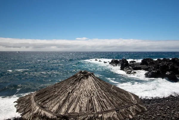 Costa sur rocosa de Madeira — Foto de Stock