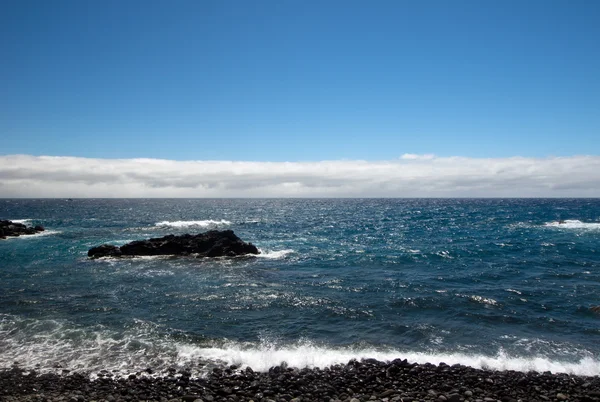 Costa sur rocosa de Madeira — Foto de Stock