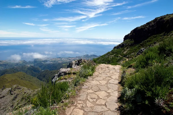 Pico Ruivo üzerinde yürüme — Stok fotoğraf