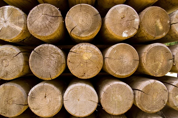 Parete di tronchi di legno impilati che mostrano scolorimento naturale — Foto Stock