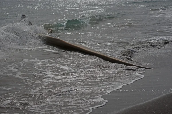 Houten flotsam op Caribische strand — Stockfoto
