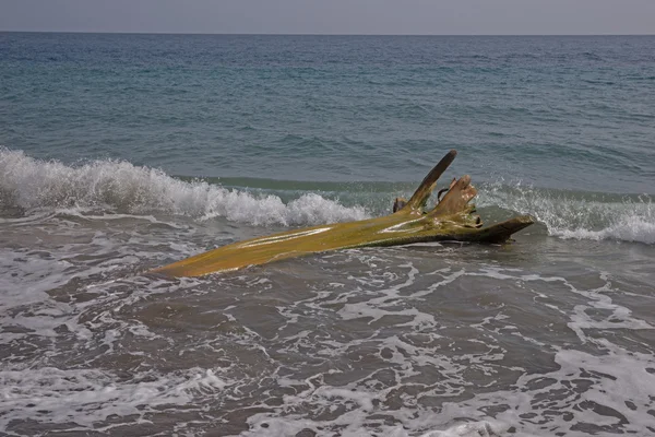 Houten flotsam op strand — Stockfoto