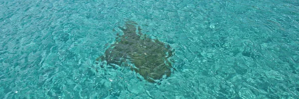 Piedra submarina — Foto de Stock