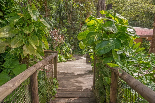 Pasarela en el Parque de Guadalupe — Foto de Stock