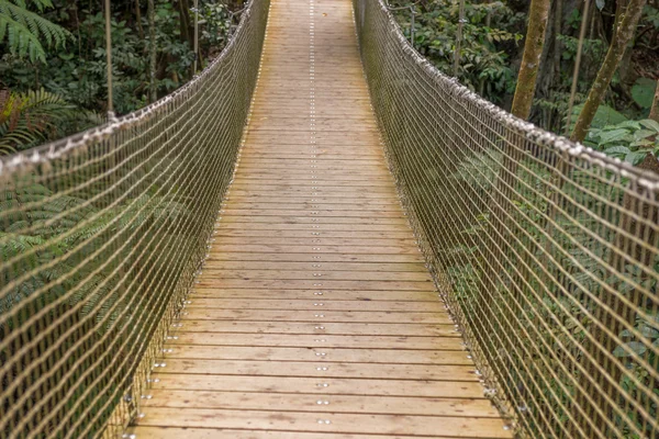 Puente colgante en el bosque — Foto de Stock